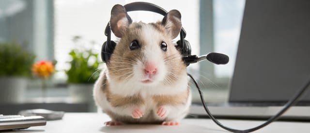 The Benefits of Math Coaching