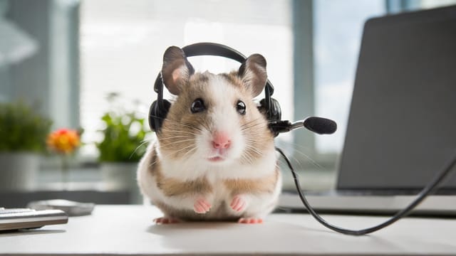 The Benefits of Math Coaching