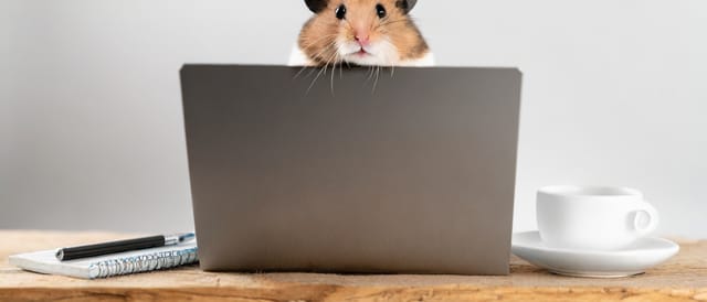 Top Tips for Math Contest Success