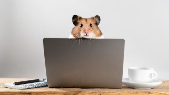 Top Tips for Math Contest Success